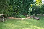 Garten Gemüsebeet